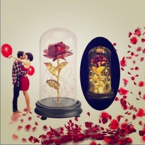 Beauty and the beast rose lamps